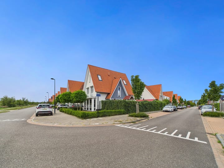 Foto 47 van Vuurvlinder 25