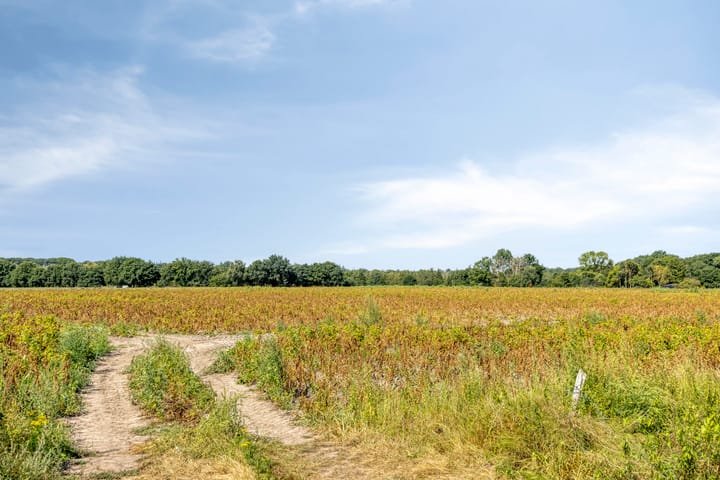 Foto 52 van De Hogert 2-A