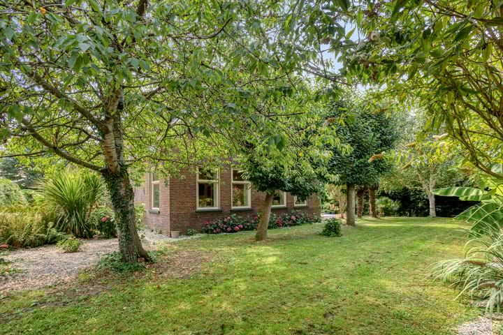 Foto 9 van Westeinde 303