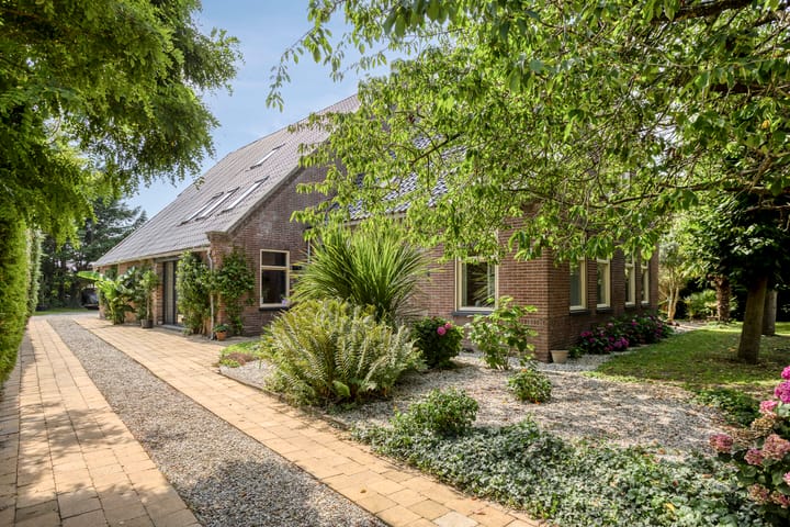 Foto 7 van Westeinde 303