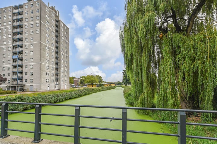 Foto 47 van Regenboogsingel 49