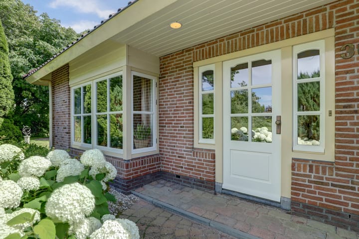 Foto 6 van Winterkoning 36