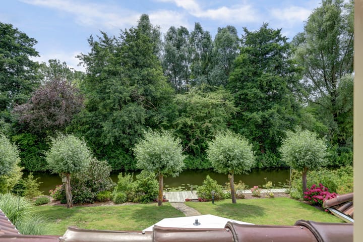 Foto 30 van Winterkoning 36