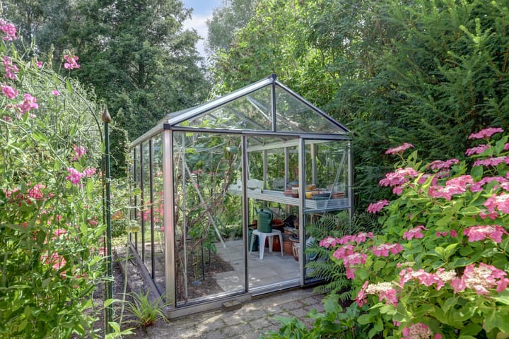 Foto 47 van Winterkoning 36