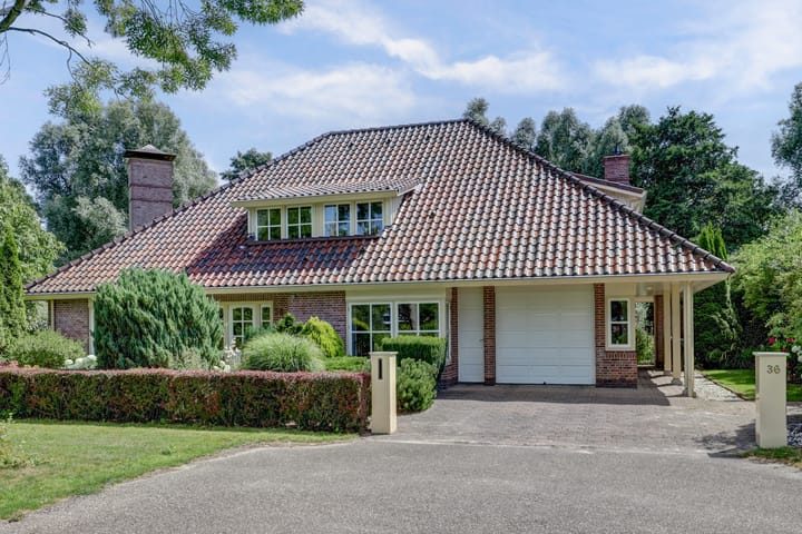 Winterkoning 36 main image