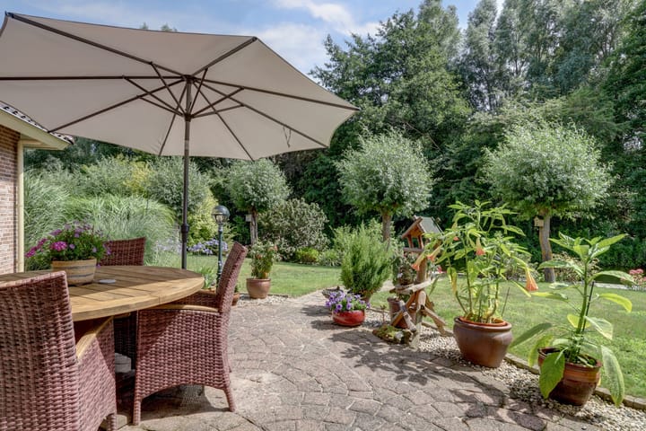 Foto 44 van Winterkoning 36