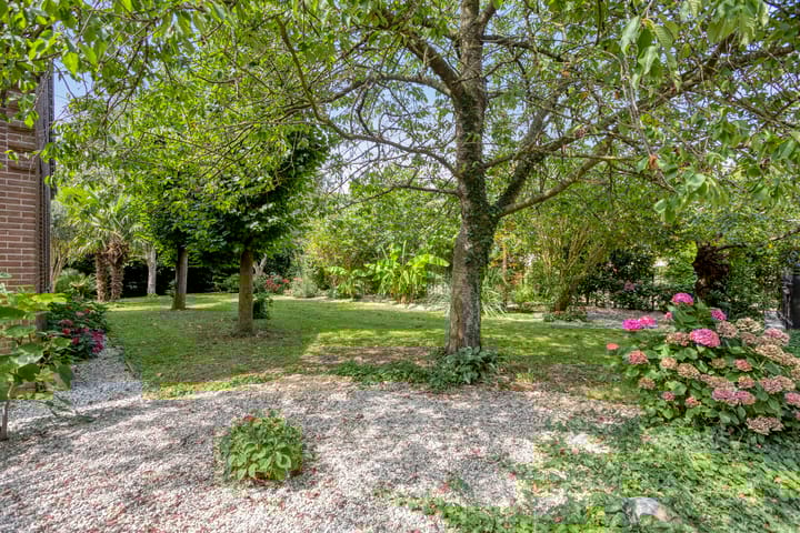 Foto 69 van Westeinde 303