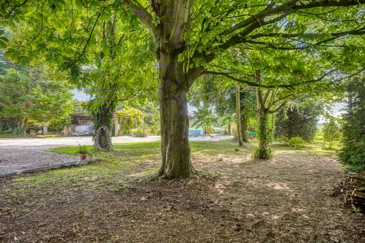 Foto 78 van Westeinde 303