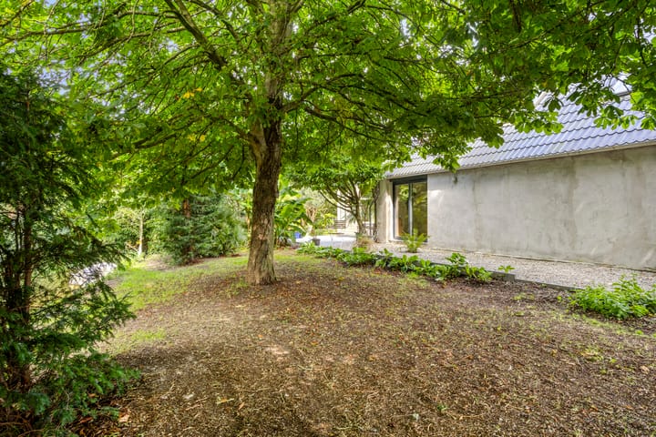 Foto 79 van Westeinde 303