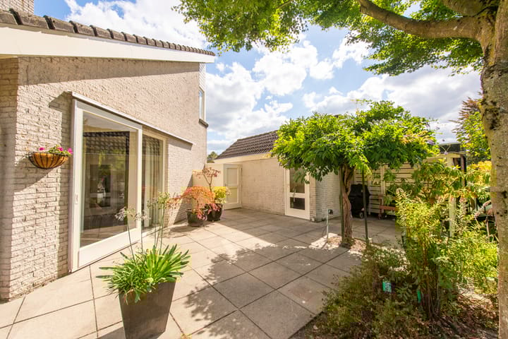 Photo 44 of Tongelreep 11