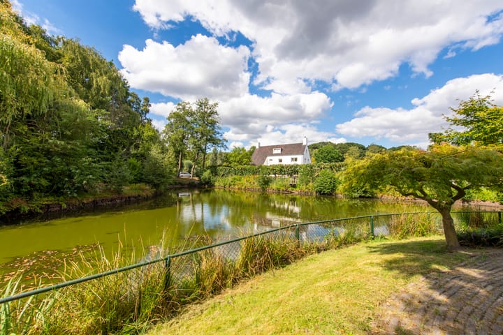 Photo 46 of Tongelreep 11