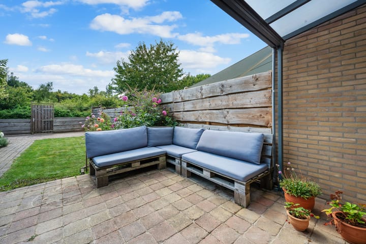 Foto 33 van Koolmees 33