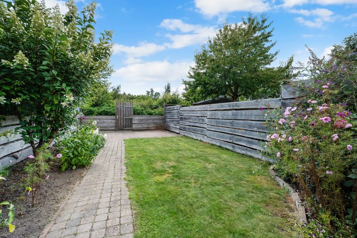 Foto 35 van Koolmees 33