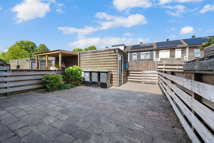 Foto 41 van Koolmees 33