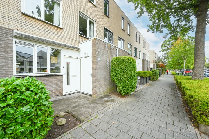 Foto 4 van Stadsmolen 133