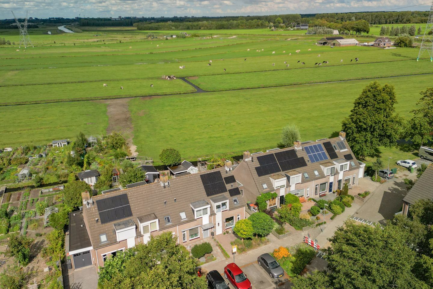 Foto 40 van Watersnip 7