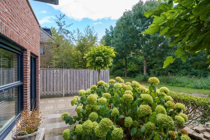 Foto 40 van Krachtveld 25