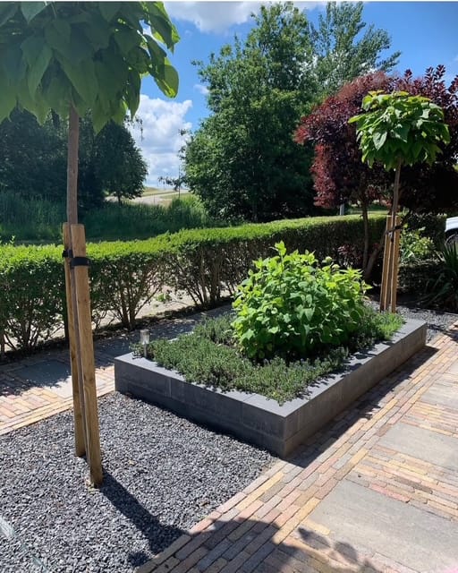 Foto 41 van Krachtveld 25