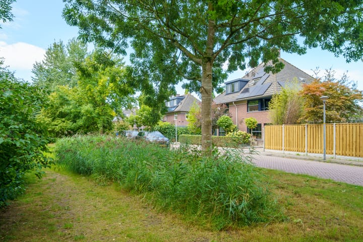 Foto 46 van Krachtveld 25