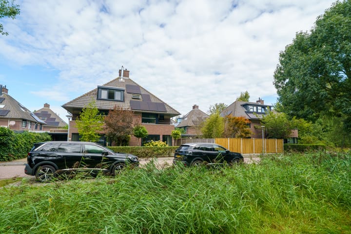 Foto 47 van Krachtveld 25