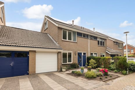 undefined main image