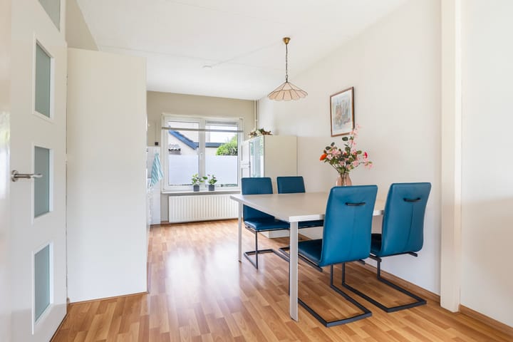 Foto 8 van De Iken 55