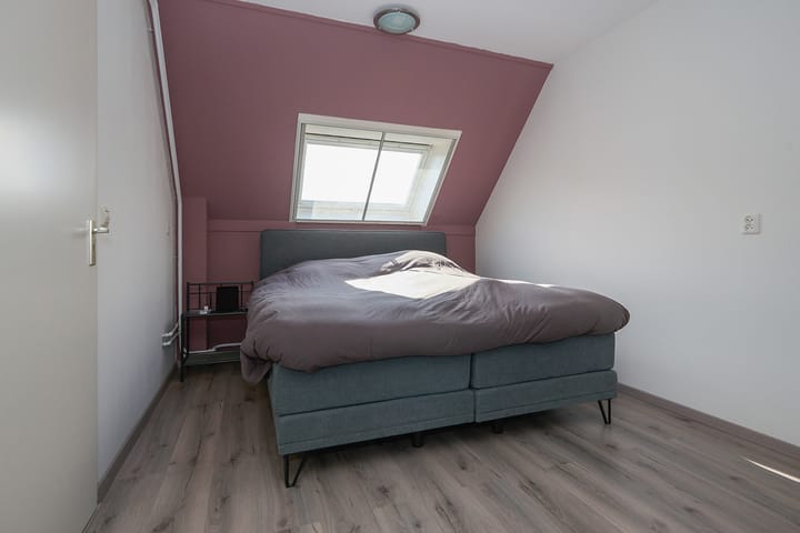 Foto 4 van Zeeaster 3