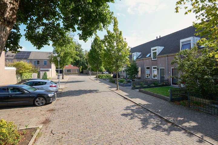 Foto 5 van Zeeaster 3