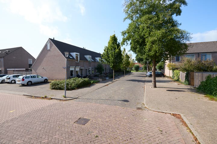 Foto 6 van Zeeaster 3