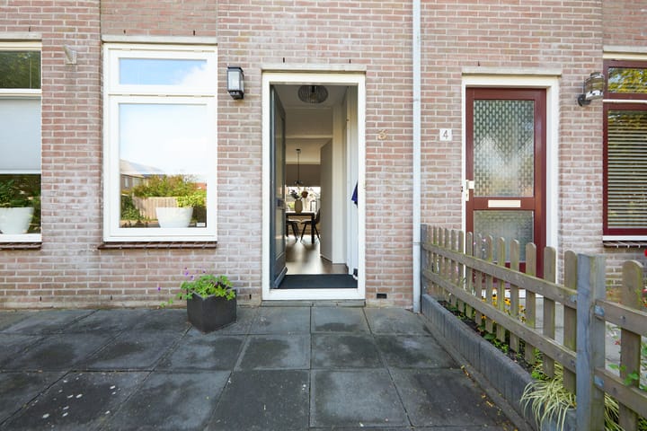 Foto 10 van Zeeaster 3