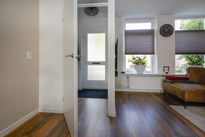 Foto 11 van Zeeaster 3