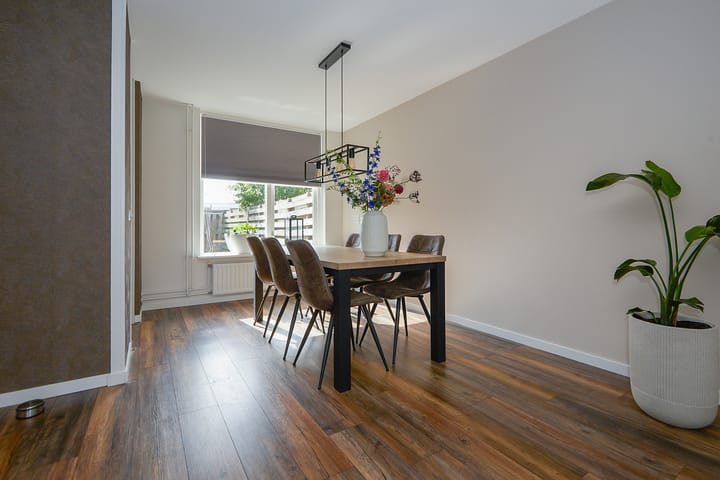 Foto 16 van Zeeaster 3