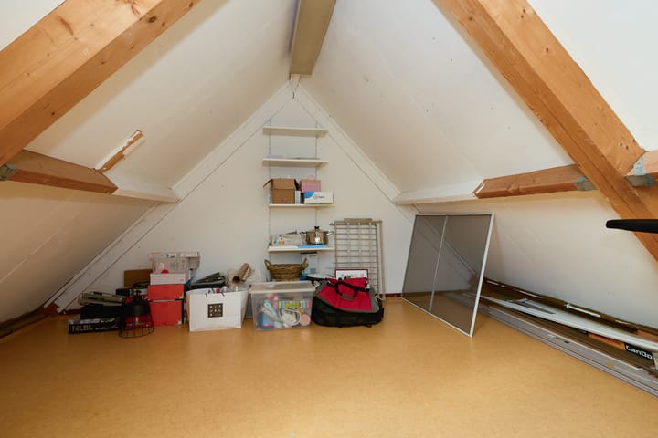 Foto 37 van Zeeaster 3