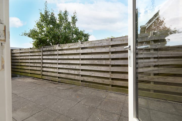 Foto 39 van Zeeaster 3