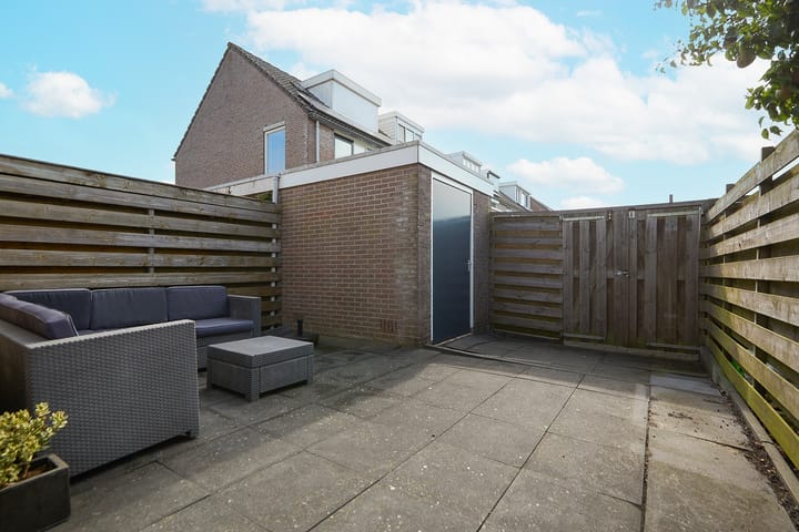 Foto 43 van Zeeaster 3