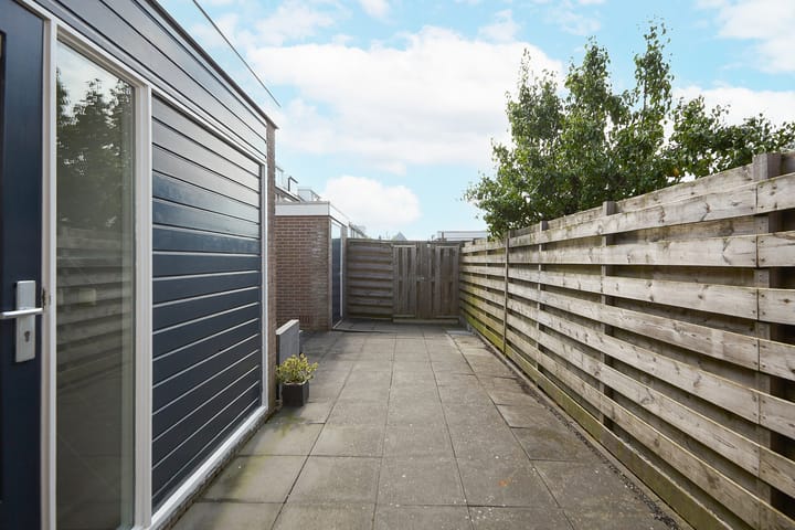 Foto 44 van Zeeaster 3