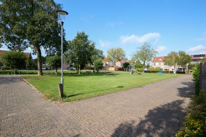 Foto 45 van Zeeaster 3