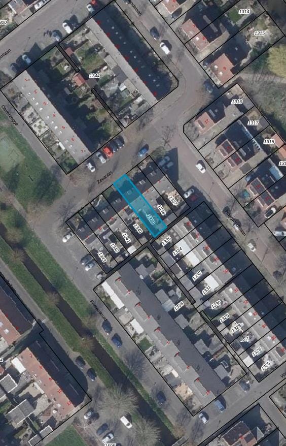 Foto 50 van Zeeaster 3