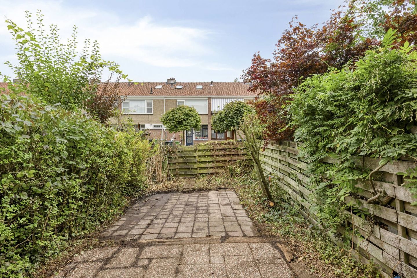 Foto 20 van Winterdijk 55