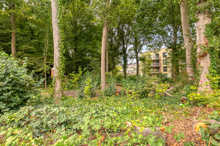 Foto 35 van Parklaan 32