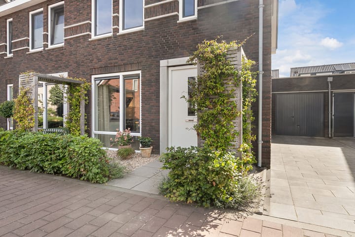 Foto 4 van Bliksemschicht 10