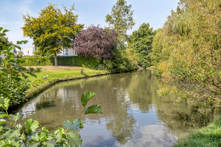 Foto 30 van Lavendellaar 37