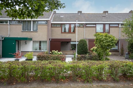 undefined main image