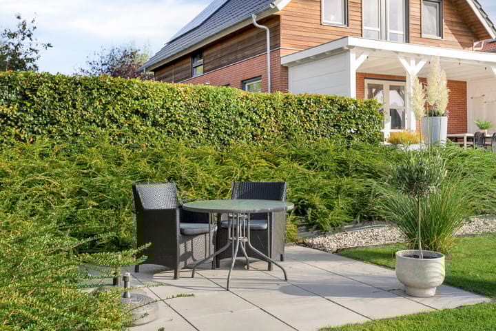 Foto 60 van Watersnip 24