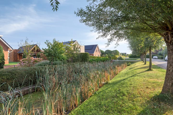 Foto 65 van Watersnip 24