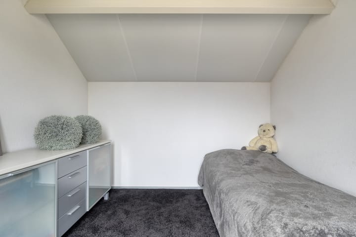 Photo 33 of Carel Fabritiuslaan 39