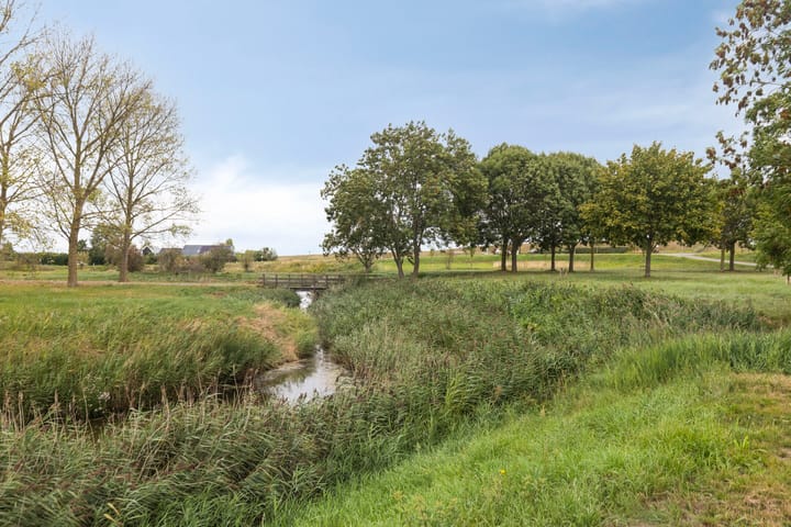 Photo 46 of Carel Fabritiuslaan 39