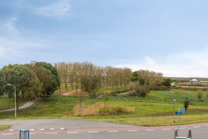 Photo 48 of Carel Fabritiuslaan 39