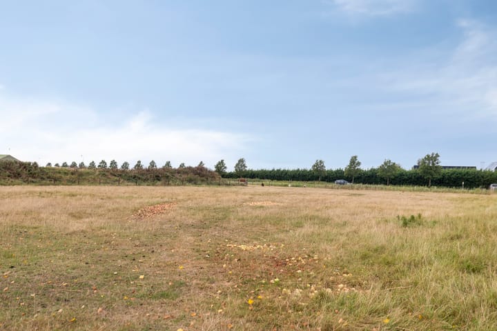 Photo 50 of Carel Fabritiuslaan 39