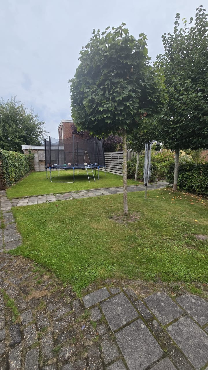 Photo 38 of Torenstraat 23